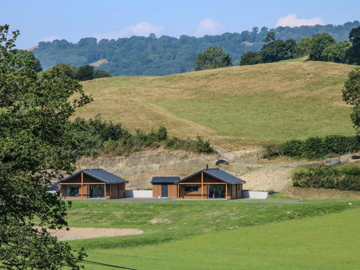 Meadow View Villa Meifod ภายนอก รูปภาพ